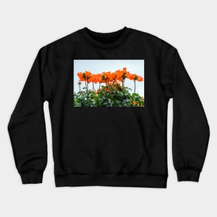 bloom atop Crewneck Sweatshirt